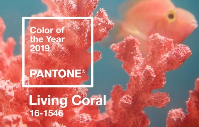 Colour of the year 2019