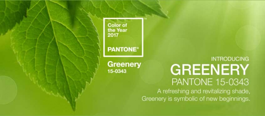 Color of the year 2017